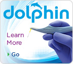 Dolphin Disposable
